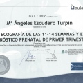 Acercar imagen: certificate 8