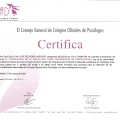 Acercar imagen: certificate 95