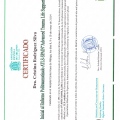 Acercar imagen: certificate 2