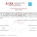 Acercar imagen: certificate 10