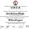 Acercar imagen: certificate 4