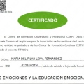 Acercar imagen: certificate 3
