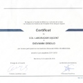 Acercar imagen: certificate 28