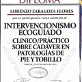 Acercar imagen: certificate 7