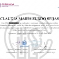 Acercar imagen: certificate 6