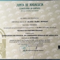 Acercar imagen: certificate 6