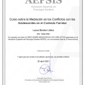 Acercar imagen: certificate 10
