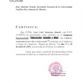 Acercar imagen: certificate 43