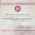 Acercar imagen: certificate 5