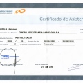 Acercar imagen: certificate 12
