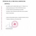 Acercar imagen: certificate 9