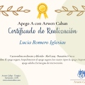 Acercar imagen: certificate 4