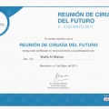 Acercar imagen: certificate 85