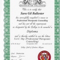 Acercar imagen: certificate 3