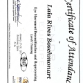 Acercar imagen: certificate 3