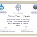 Acercar imagen: certificate 16