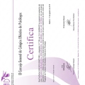 Acercar imagen: certificate 27