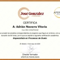Acercar imagen: certificate 15