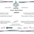 Acercar imagen: certificate 4