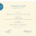 Acercar imagen: certificate 15