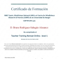 Acercar imagen: certificate 1
