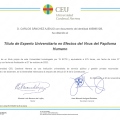 Acercar imagen: certificate 5