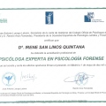 Acercar imagen: certificate 3