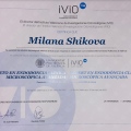 Acercar imagen: certificate 7