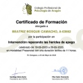 Acercar imagen: certificate 6