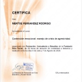 Acercar imagen: certificate 14