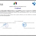 Acercar imagen: certificate 60
