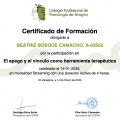 Acercar imagen: certificate 7