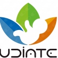 UdiateSevilla - 