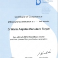 Acercar imagen: certificate 5