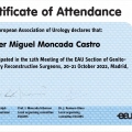 Acercar imagen: certificate 5