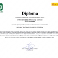 Acercar imagen: certificate 21