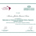 Acercar imagen: certificate 2