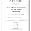 Acercar imagen: certificate 6
