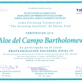 Acercar imagen: certificate 2