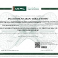 Acercar imagen: certificate 11