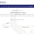 Acercar imagen: certificate 2