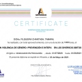 Acercar imagen: certificate 3