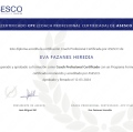 Acercar imagen: certificate 1