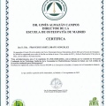Acercar imagen: certificate 2