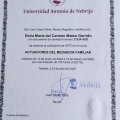 Acercar imagen: certificate 5
