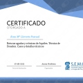 Acercar imagen: certificate 16