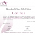 Acercar imagen: certificate 191