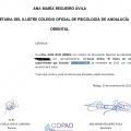 Acercar imagen: certificate 3
