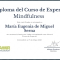 Acercar imagen: certificate 3