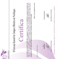 Acercar imagen: certificate 15